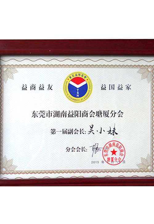 东莞市湖南益阳商会塘...