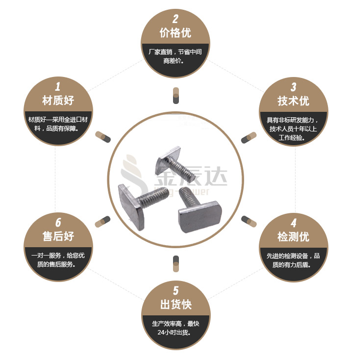 不锈钢T型螺丝 不锈钢T型螺丝