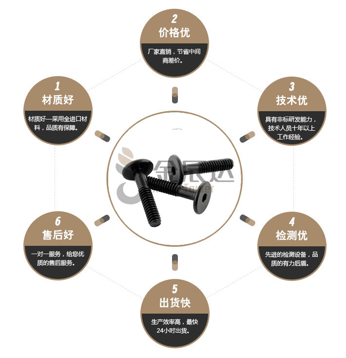 电泳螺丝 电泳螺丝