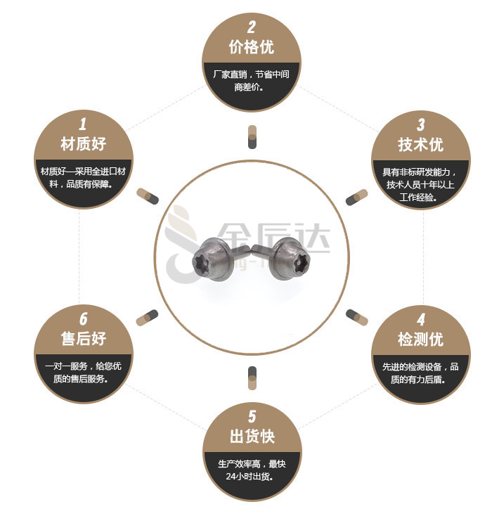 不锈钢梅花带柱防盗螺丝