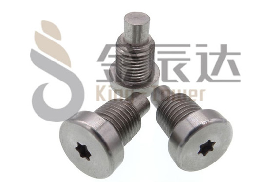 不锈钢异型螺丝 不锈钢异型螺丝