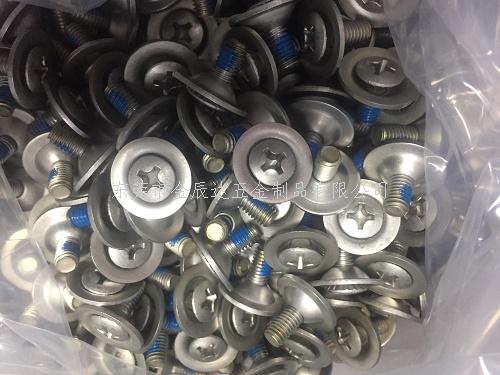 不锈钢滑雪鞋组合螺丝