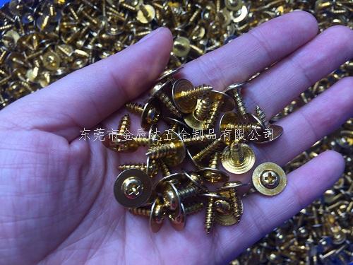 电子小螺丝