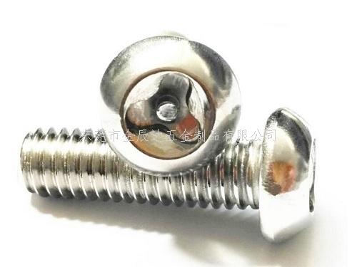 异型防盗螺丝