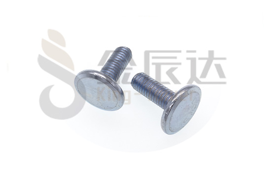 大平头螺钉