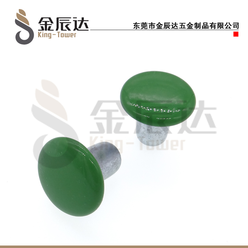不锈钢烤漆铆钉